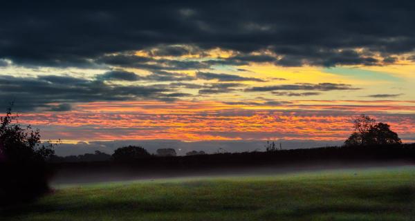 Fen View