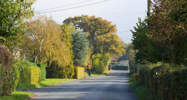 The Street