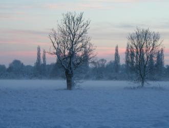 Winter on the set aside 3